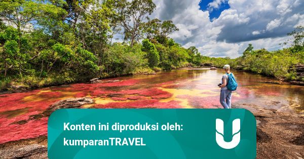 Menilik Cano Cristales, Sungai Terindah di Dunia yang Mirip Pelangi
